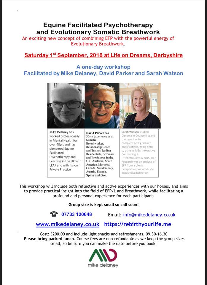 34727784_1790941587637700_2181163347016155136_n